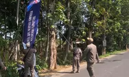 Baliho dan Spanduk Parpol Langgar Perda, Demi Konduktivitas Satpol PP Batang Tak Berani Menertibkan