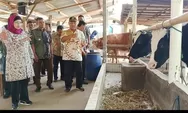 Peternak Sapi Perah di Batang Ditarget Nestle 200 Liter Per Hari, Pj Bupati Lani: Kita Baru Mampu 14 Liter