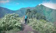 Menikmati Keindahan Gunung Puntang, Destinasi Wisata Tersembunyi di Jawa Barat