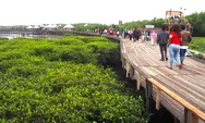 4 Destinasi Wisata Mangrove Paling Populer di Probolinggo, Bisa Berwisata Sambil Edukasi 