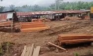 Dianggap tak mentaati aturan, Pengolahan kayu di Ranto Baik Madina harus ditindak