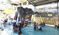 Pancuran Gajah Air Hangat Umbul Banyuroso, Sensasi Dipijat Lancarkan Peredaran Darah
