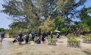 Dukung Upaya Pemerintah Bebas Emisi Karbon, BRI Kembali Tanam Mangrove di Pulau Tidung, Total 10.500 Bibit