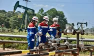 Lowongan Kerja Magang PT Pertamina Hulu Rokan Dibuka, Cek Syarat dan Formasi yang Dibutuhkan di Bawah Ini! 