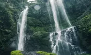 Pesona Bali ! Berikut 5 Rekomendasi Wisata Air Terjun di Pulau Dewata yang Cocok Buat Healing