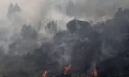 Kebakaran Hutan Terbesar Guncang Chile, Presiden Tetapkan Status Darurat