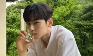 Nama Cha Eun Woo Terseret Dugaan Penggelapan Pajak, Skema One-Man Agency Jadi Sorotan