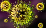 Kemenkes RI Minta Masyarakat Waspada Gejala Virus Nipah Usai Muncul di India