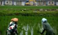 Prabowo Rem Sawah Beralih Fungsi jadi Perumahan, Negara Tak Mau Kehilangan Lumbung Pangan