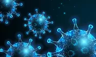Kemenkes Perkuat Karantina Kesehatan Cegah Penyebaran Virus Nipah di Pintu Masuk Indonesia