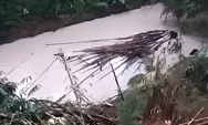 Diduga Keracunan, Ribuan Ikan Mabuk Mengambang di Sungai Cisadane, Warga Berbondong-bondong Turun ke Sungai
