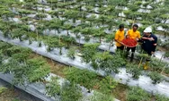 ANTAM Perkuat Kesejahteraan Sosial dan Ekonomi Masyarakat di Pongkor Melalui Inisiatif Strategis