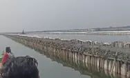 Heboh Lagi Penemuan Pagar Laut dari Bambu di Perairan Bekasi, Sudah Menyerupai Tanggul Raksasa