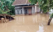 5 Kabupaten dan 1 Kota di Lampung Ini Dikepung Banjir, Paling Parah Ada 19 Titik