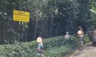 Jangan Ditiru! Aksi Berbahaya Pengunjung Taman Safari Indonesia Keluyuran dan Keluar dari Mobil di Area Satwa Lepas