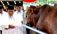 Sapi Kurban Prabowo, Si Brawijaya Berat 1,25 Ton Disembelih di Masjid Istiqlal, Khusus untuk 2.000 Yatim