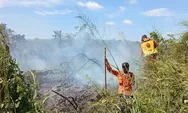 Kebakaran Hutan Dominasi Kejadian Bencana di Sumut  