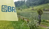 Penyaluran KUR BRI Sudah Capai Rp83,38 Triliun, Sektor Pertanian Penyerap Terbesar