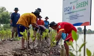  Tegaskan Komitmen Penyelamatan Lingkungan, BRI Peduli Tanam 10 Ribu Pohon Mangrove di Kawasan Pesisir