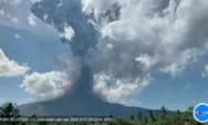 Gunung Api Lewotobi Laki-Laki Erupsi, Keluarkan Abu Kelabu Setinggi 8 Km