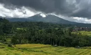 Bikin Bangga Indonesia di Kancah Dunia, Desa Wisata Pemuteran Bali Raih Best Tourism Village 2025