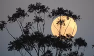 Tips Memotret Bulan saat Supermoon: Hasil Foto Lebih Tajam dan Menakjubkan