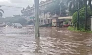 Kabar Terbaru Banjir Jakarta: 30 RT Terdampak, 2 Pohon Roboh Timpa Mobil