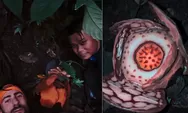 Ilmuwan Oxford Temukan Rafflesia Hasseltii Langka di Hutan Sumatera Barat Setelah Penantian 13 Tahun
