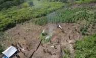 Begini Cara Pemilik Ladang Ganja di Aceh Pantau Pertumbuhan Tanaman Haramnya: Gunakan 2 Strategi!