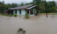 Seperti Tsunami Kedua, Warga Putus Asa di Tengah Banjir Besar