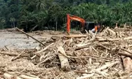 Banjir Sumatra Bukan Hanya Alam: Walhi Soroti Alih Fungsi Hutan dan Izin Pemerintah Jadi Pemicu Utama