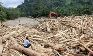 Pemerintah Beri Izin  Warga Manfaatkan Kayu Banjir di Sumatra, Ini Syaratnya