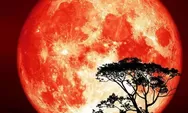 Kapan Cold Supermoon Malam Ini Tampak di Langit Indonesia? Cek Jadwal Penampakannya di Sini!