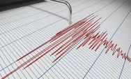 Gempa Magnitudo 6,7 Kembali Guncang Jepang, Diprediksi Bakal Diterjang Tsunami 1 Meter   