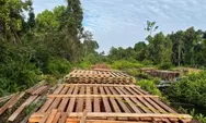 Polisi Ungkap Pembalakan Liar di Tengah Hutan Indragiri Hulu yang Sulit Dijamah, 300 Kubik Kayu Olahan Disita