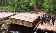 300 Meter Kubik Kayu Ilegal di Indragiri Hulu Disita, 120 Pohon Diduga Ditebang
