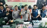 Kebun Ganja di Rumah Kontrakan Jombang Terbongkar, Empat Tersangka Ditangkap Polisi