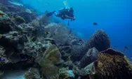 Pemerintah Luncurkan Direktori Selam Indonesia: Bunaken, Raja Ampat hingga Wakatobi Jadi Andalan!