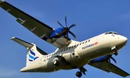 Basarnas Makassar Diterjunkan ke Lokasi Terakhir Hilangnya Kontak Pesawat ATR Indonesia Air di Leang-leang Maros