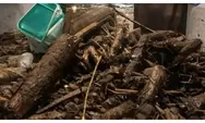 Viral, Banjir di Pemalang Selatan Bawa Material Kayu Gelondongan 