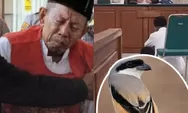 Viral Kakek di Situbondo Divonis 5 Bulan Penjara usai Jual Burung Cendet Seharga Rp30 Ribu demi Bertahan Hidup