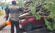 Puluhan Pohon Tumbang, 10 Motor Rusak, Dampak Puting Beliung di Bandara Juanda Surabaya di Sidoarjo