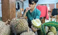 Durian Kawuk Raja Tandingi Rasa Musang King