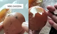 Viral Telur MBG Kotor di Magetan, Warga Soroti Standar Kebersihan