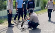 Sehari Setelah Tawuran Wuring, Polres Sikka Turun Tangan: Patroli dan Evakuasi Korban Laka