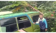 Mengantuk di Jalur Menanjak, Bus Pine Green Meta Masuk Jurang di Cunca Lolos, Labuan Bajo