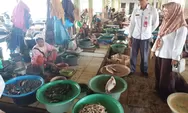 Di Tapin, Penjual dan Pembeli Anakan Ikan Bisa Masuk Penjara