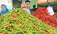 Harga Cabai Mulai Turun