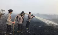 Dalam Lima Bulan, 313 Hektare Lahan Terbakar