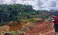 Tambang Batubara Ilegal dari Kukar Hingga IKN, Eksis Karena Ada Pemodal